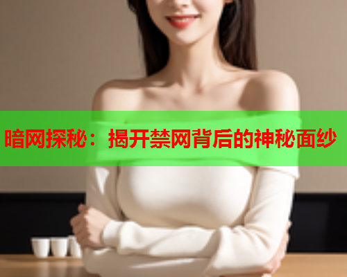 暗网探秘：揭开禁网背后的神秘面纱