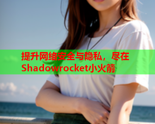 提升网络安全与隐私，尽在Shadowrocket小火箭