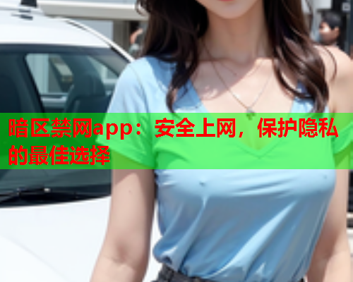 暗区禁网app：安全上网，保护隐私的最佳选择